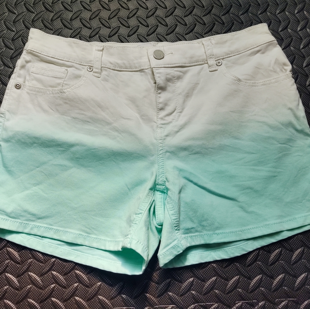 Soho Jeans New York Co Summer Shorts Ombre 6